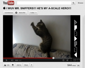 Feline A-Scale on YouTube